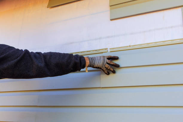 Best Siding Painting and Refinishing  in Smithville, OH